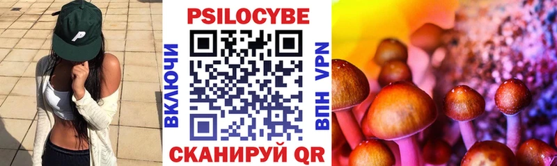 где найти наркотики  Славск  Псилоцибиновые грибы Magic Shrooms 